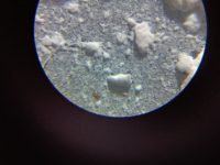 школьный мел под микроскопом